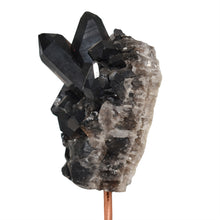 Load image into Gallery viewer, Smoky Quartz Cluster on Pin Stands