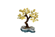 Load image into Gallery viewer, Polished Gemstone Bonsai Tree
