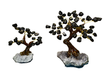 Load image into Gallery viewer, Polished Gemstone Bonsai Tree