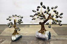 Load image into Gallery viewer, Polished Gemstone Bonsai Tree