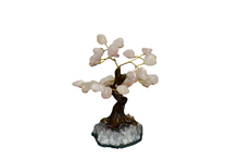 Load image into Gallery viewer, Polished Gemstone Bonsai Tree