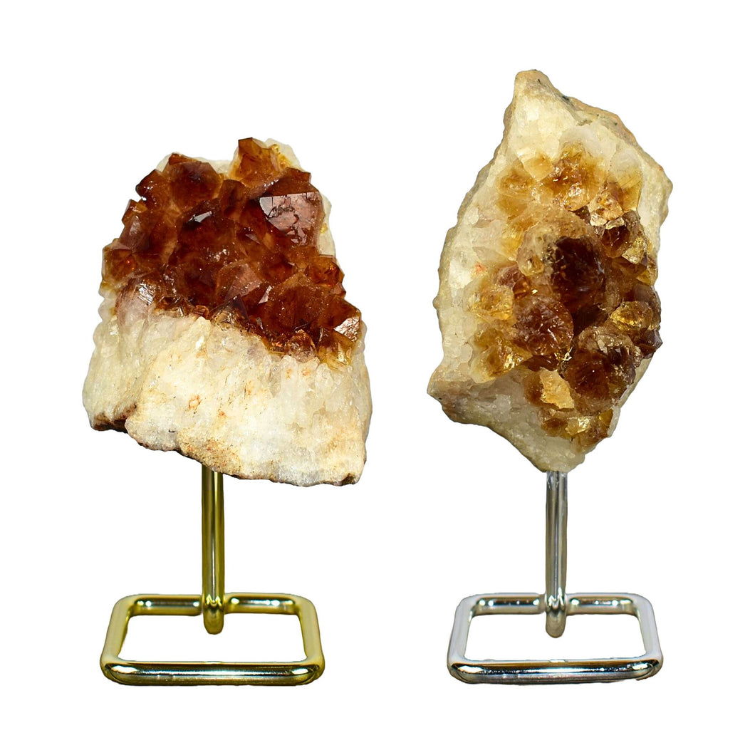 Citrine Druzy on Pin Stands
