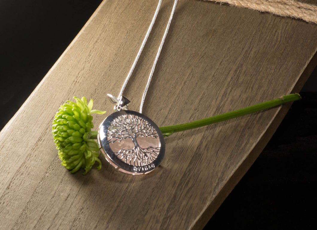 Gorgeous gift-Beautiful imagery-agate silver-Agate