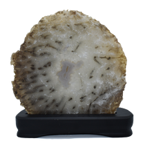 Load image into Gallery viewer, Agate Slab-Wood-Luxury