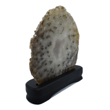 Load image into Gallery viewer, Luxury-Wood-Agate-wheel
