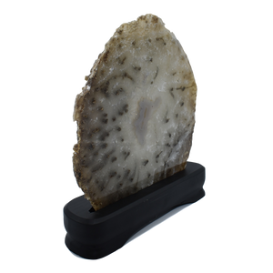Luxury-Wood-Agate-wheel