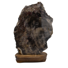 Load image into Gallery viewer, Petrified Wood-Wood Base 