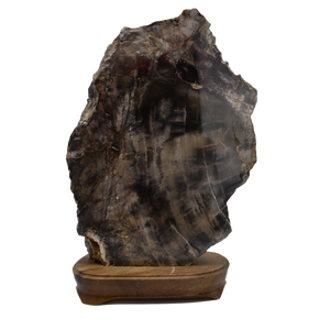 Petrified Wood-Wood Base 