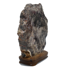 Load image into Gallery viewer, Petrified Wood-Wood Base-Wood